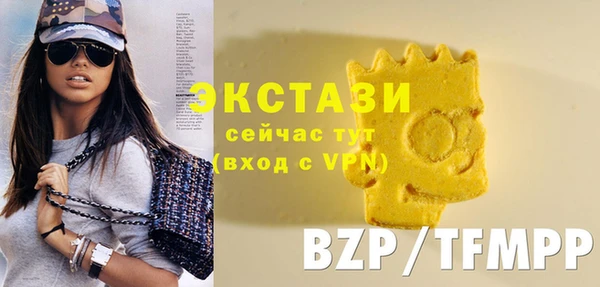 гашик Мегион