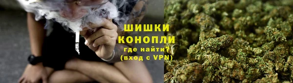 гашик Мегион
