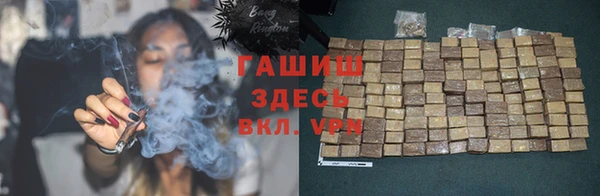 гашик Мегион