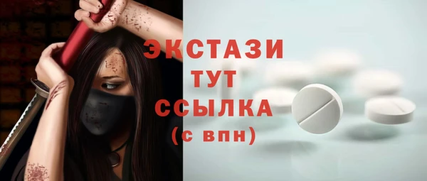 гашик Мегион