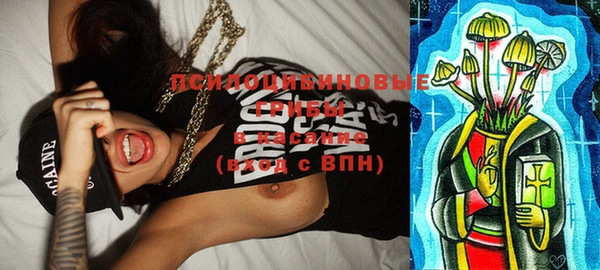 PSILOCYBIN Медногорск