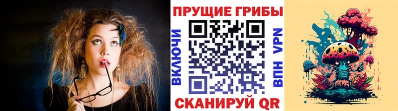 Псилоцибиновые грибы Psilocybine cubensis  как найти   Новокузнецк 