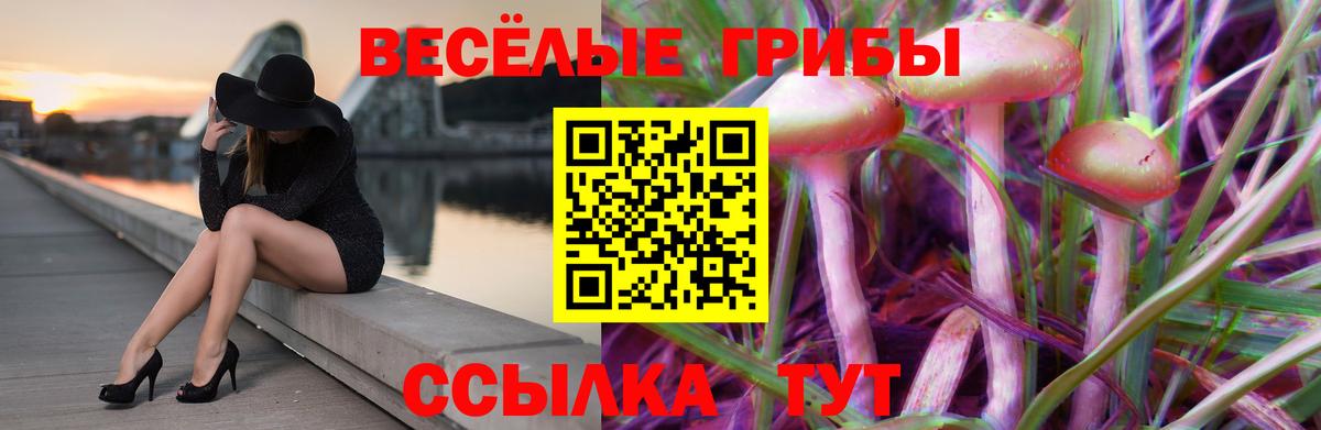 Новокузнецк  Галлюциногенные грибы Psilocybine cubensis  где можно купить наркотик  Вход с VPN 